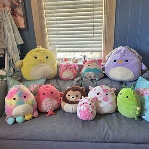 Squishmallows: Details Below